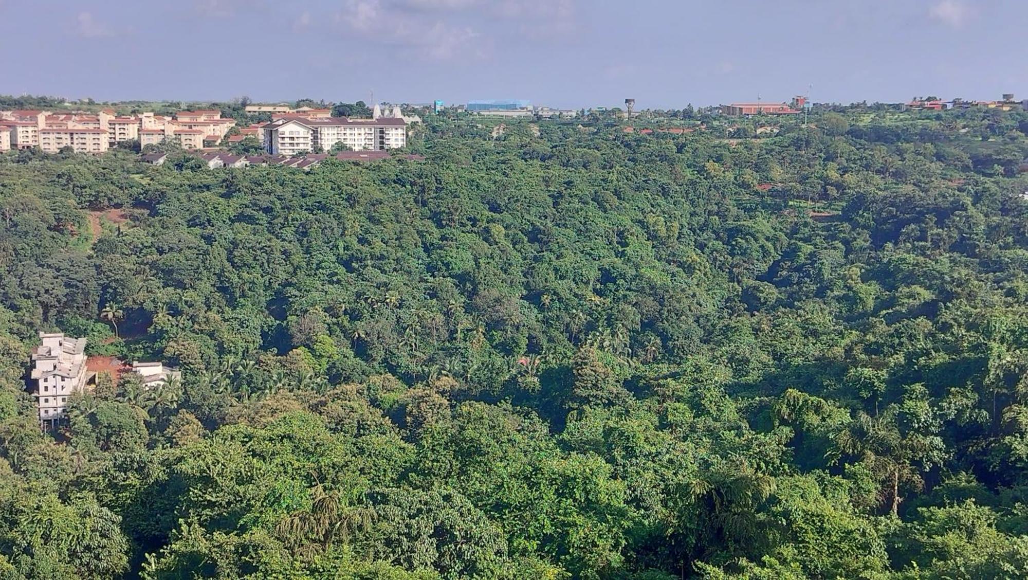 Good Stay 2Bhk Pool Apartment 10 Mins From Dabolim Airport Goa 102 Consua Экстерьер фото